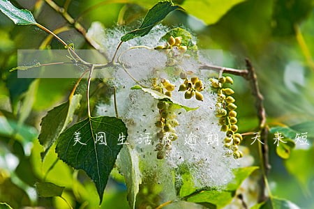 美团生活费逾期3天来短信