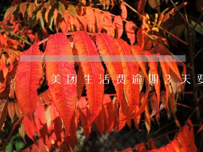 美团生活费逾期3天要求全部还款 美团生活费逾期3天要求全部还款