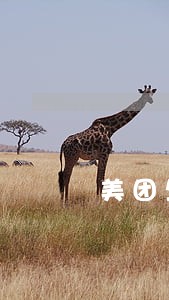 美团生活费逾期3天说备案 美团生活费逾期3天说备案