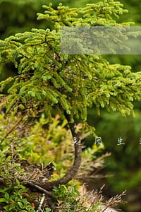 美团生活费逾期3天还可以再借吗 美团生活费逾期3天还可以再借吗