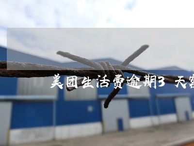 美团生活费逾期3天额度 美团生活费逾期3天额度
