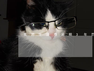 美团生活费逾期3年罚息减免 美团生活费逾期3年罚息减免