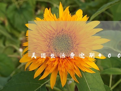 美团生活费逾期400块开庭 美团生活费逾期400块开庭
