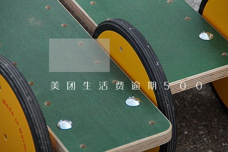 美团生活费逾期500 美团生活费逾期500