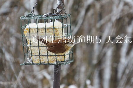 美团生活费逾期5天会怎么样 美团生活费逾期5天会怎么样