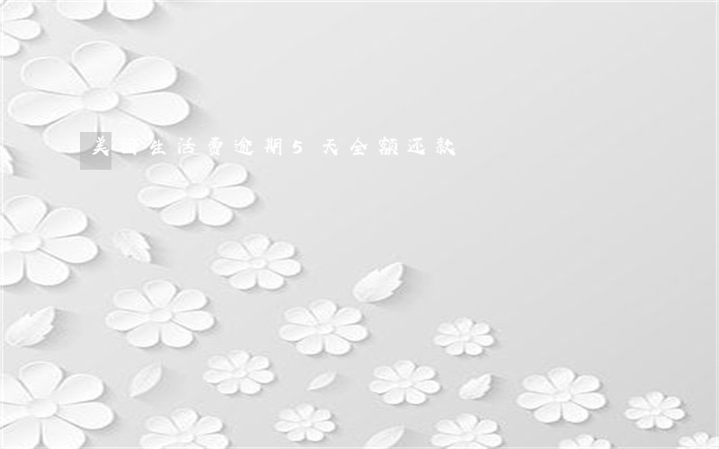 美团生活费逾期5天全额还款 美团生活费逾期5天全额还款