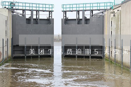 美团生活费逾期5天要求全额结清 美团生活费逾期5天要求全额结清
