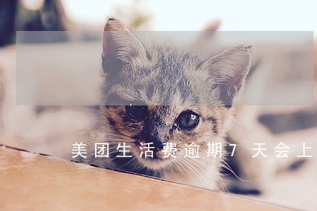美团生活费逾期7天会上门吗 美团生活费逾期7天会上门吗