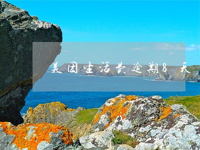 美团生活费逾期8天 美团生活费逾期8天