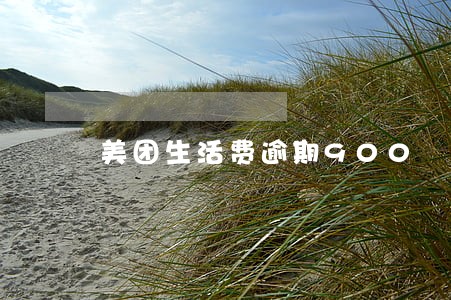 美团生活费逾期900
