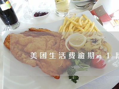 美团生活费逾期m1阶段 美团生活费逾期m1阶段