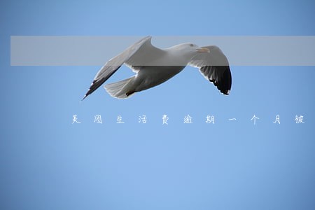美团生活费逾期一个月被代偿 美团生活费逾期一个月被代偿