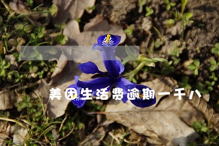 美团生活费逾期一千八 美团生活费逾期一千八