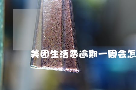 美团生活费逾期一周会怎么样