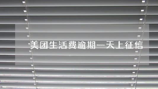 美团生活费逾期一天上征信 美团生活费逾期一天上征信