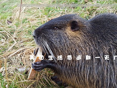 美团生活费逾期一天几十条短信 美团生活费逾期一天几十条短信