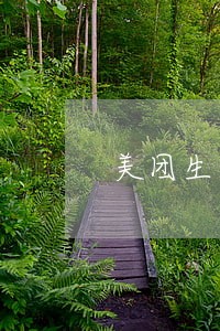 美团生活费逾期一天套路吗 美团生活费逾期一天套路吗