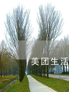 美团生活费逾期一天罚息多少 美团生活费逾期一天罚息多少