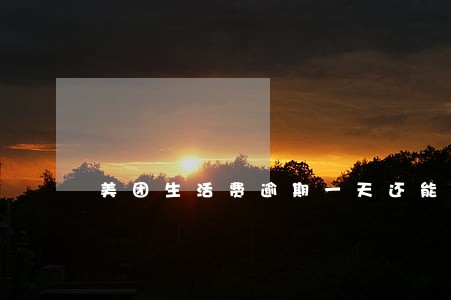 美团生活费逾期一天还能用吗 美团生活费逾期一天还能用吗
