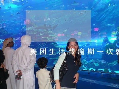 美团生活费逾期一次就借不出吗 美团生活费逾期一次就借不出吗