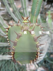 美团生活费逾期一般多久会上征信 美团生活费逾期一般多久会上征信