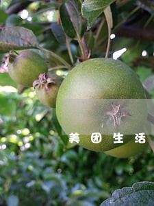 美团生活费逾期七天还了怎么办