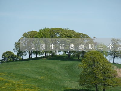 美团生活费逾期三个月 美团生活费逾期三个月