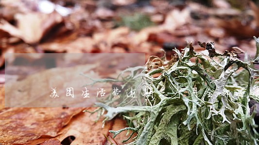 美团生活费逾期三个月全部还清 美团生活费逾期三个月全部还清