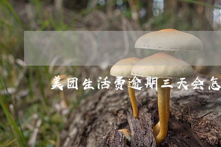 美团生活费逾期三天会怎么样 美团生活费逾期三天会怎么样