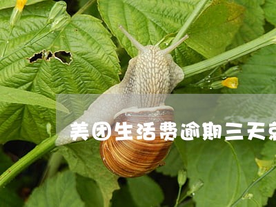 美团生活费逾期三天就上门