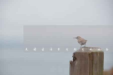 美团生活费逾期三天说备案审核 美团生活费逾期三天说备案审核