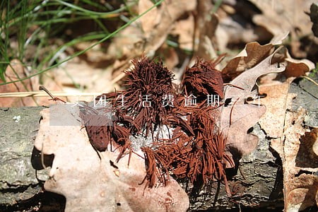 美团生活费逾期三年 美团生活费逾期三年