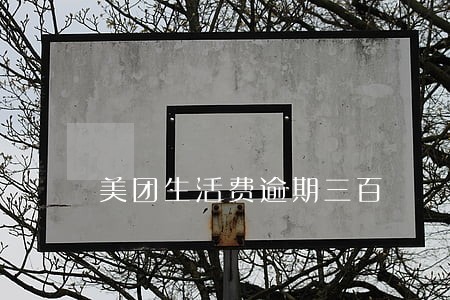 美团生活费逾期三百 美团生活费逾期三百
