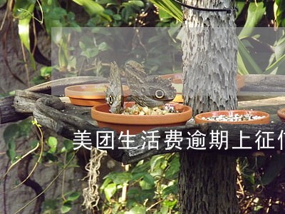 美团生活费逾期上征信了会怎样 美团生活费逾期上征信了会怎样