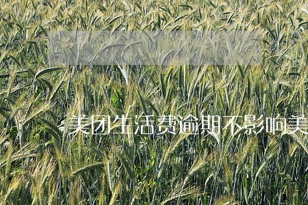 美团生活费逾期不影响美团使用吧 美团生活费逾期不影响美团使用吧