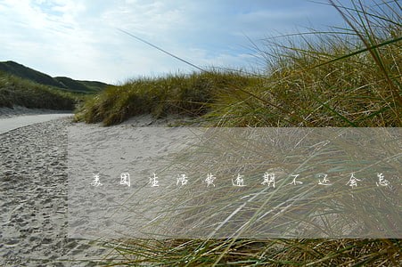 美团生活费逾期不还会怎么样 美团生活费逾期不还会怎么样