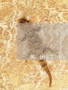 美团生活费逾期两三天要紧吗 美团生活费逾期两三天要紧吗
