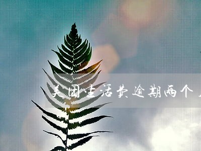 美团生活费逾期两个月怎么办 美团生活费逾期两个月怎么办