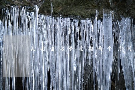 美团生活费逾期两个月问题大不大