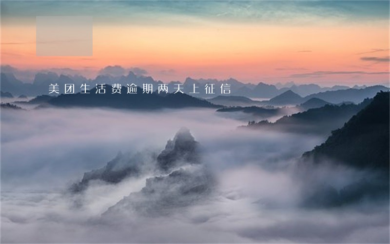 美团生活费逾期两天上征信