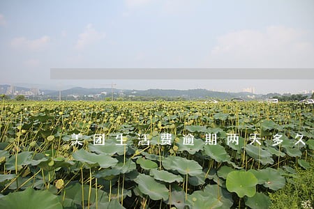 美团生活费逾期两天多久能借出来 美团生活费逾期两天多久能借出来