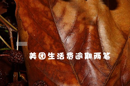 美团生活费逾期两笔 美团生活费逾期两笔