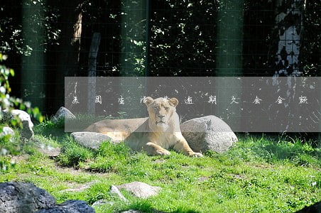 美团生活费逾期久会全额还款 美团生活费逾期久会全额还款