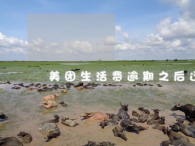 美团生活费逾期之后还能用吗 美团生活费逾期之后还能用吗