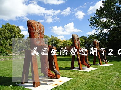 美团生活费逾期了200天 美团生活费逾期了200天