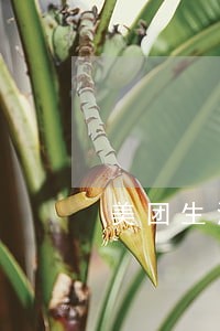 美团生活费逾期了三年 美团生活费逾期了三年