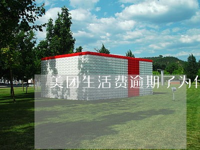 美团生活费逾期了为什么还可以借 美团生活费逾期了为什么还可以借