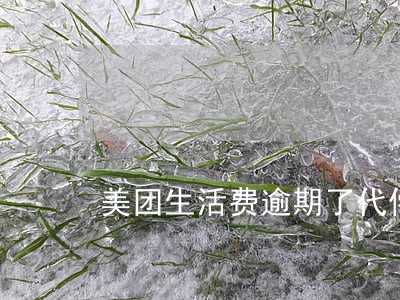 美团生活费逾期了代偿怎么解决 美团生活费逾期了代偿怎么解决