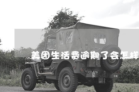 美团生活费逾期了会怎样 美团生活费逾期了会怎样