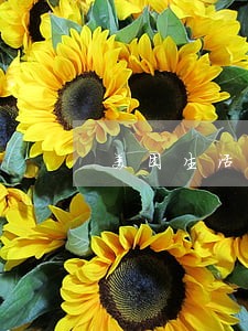 美团生活费逾期了信息函 美团生活费逾期了信息函